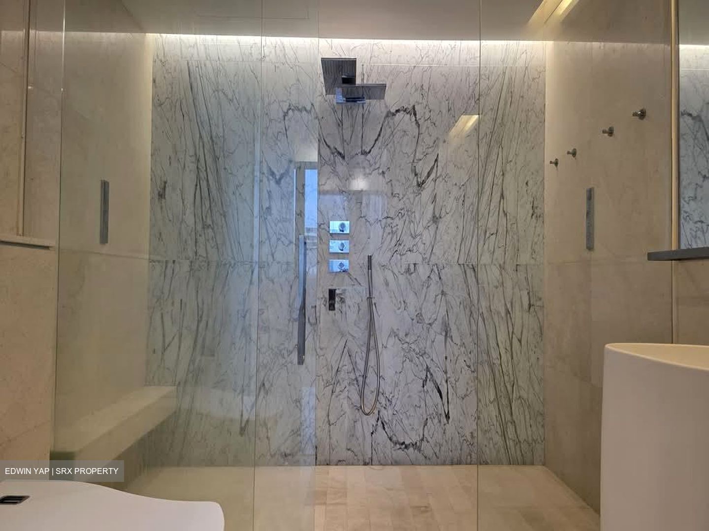 The Scotts Tower (D9), Condominium #581205801